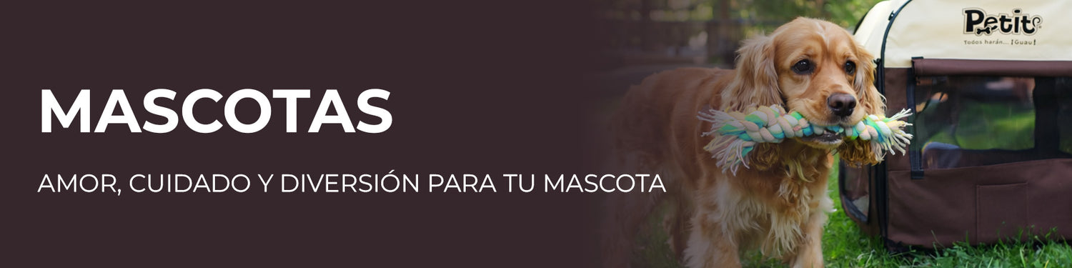 Compra Herramientas y Productos Ferreteros AKSI México.