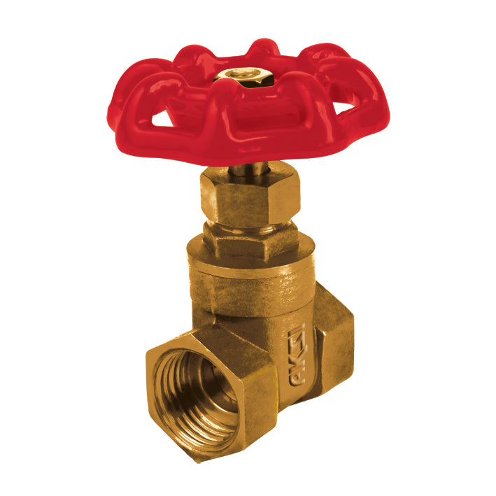 113205 AKSI - Llave de compuerta roscable 1/2