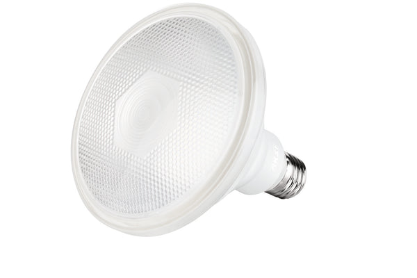 Foco LED PAR 38 IP65